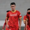FIFA rankings: Vietnam remains top of Southeast Asia 