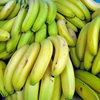Cambodia exports over 200,000 tonnes of bananas in five months