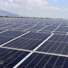 Gia Lai approves 500MW solar power project