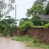 Erosion detected in Ca Mau’s coastal embankment