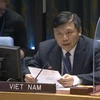 Vietnam chairs meeting of UNSC Committee on South Sudan