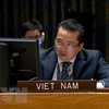 Vietnam supports ending of presence of foreign fighters, mercenaries in Libya