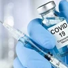 COVID-19 vaccines approved for use in Vietnam go through three clinical trial phases: ministry