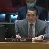 Vietnam calls for enhanced cooperation to address instability in Central African Republic, Syria