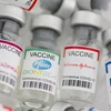  ASEAN nations seek COVID-19 vaccine supply sources 