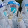 Vietnam on right track in managing current outbreaks: WHO representative