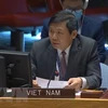 UNSC: Vietnam calls for goodwill dialogues for GERD-related issues 