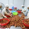 Bac Giang earns over 296 million USD from lychee sales in 2021 crop