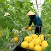Australia helps Vietnam develop hi-tech agriculture