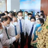 Teleconference seeks buyers for Hung Yen longan 