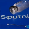 Vietnam hopes to procure Sputnik V COVID-19 vaccine in July 