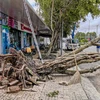 Strong winds, rains kill two in Mekong Delta, destroy houses, trees