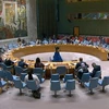 UNSC: Vietnam highly values UNAMID’s contributions 