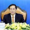 Vietnam attends first Friends of Mekong Ministerial Meeting