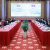 Deputy PM stresses Vietnam-Laos cooperation areas 