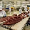 Tuna exporters forecast to meet difficulties in Q3
