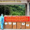Chinese Association presents medical supplies to Ha Giang province 