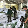 Over 15,300 tonnes of rice to be provided to HCM City, Long An