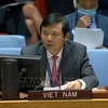 Vietnam calls for ensuring security of elections in Iraq