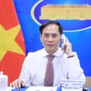 Vietnamese, Serbian Ministers of Foreign Affairs hold phone talks