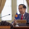 Indonesian President highlights three key economic, business strategies
