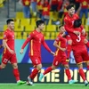 Vietnam strive for good result in World Cup match against Australia: Coach