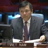 Vietnamese ambassador urges end to all military actions in Yemen