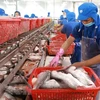Aquatic product exports plunge during social distancing