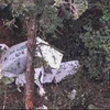 No survivor in cargo plane crash in Indonesia