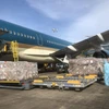 Temasek Foundation-donated medical equipment arrive in Vietnam 