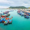 Tien Giang exerts every effort to combat IUU fishing