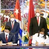 Vietnam, Cuba enhance collaboration in information-communications