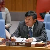 Vietnam regrets at Ethiopia’s expulsion of UN officials: Ambassador