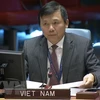 Vietnam calls on int’l community to expand support for DR Congo