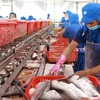 Seafood exports in September down, recovery slow