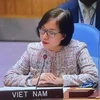 Universalization of vaccine needed for COVID-19 combat in new normal: Vietnamese diplomat