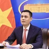 Vietnam resolved to join efforts for peace, development in Asia: Deputy FM