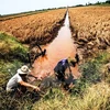 Saline intrusion may occur earlier in Mekong Delta