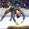 Vietnamese athletes arrive in Japan for World Artistic Gymnastics Championships