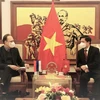 Vietnam, Russia boost transport ties