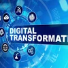 Da Nang leads localities nationwide in digital transformation index