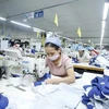 Vietnam’s economy on course to record positive growth