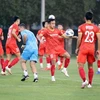 Vietnamese team's matches in AFC U23 Asian Cup qualifiers to be broadcast live