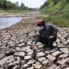 Vietnam seeks technical cooperation to fight climate change