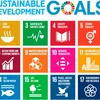 Vietnam needs stronger efforts to achieve SDGs: Workshop