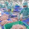 Vietnam’s aquatic product exports projected to reach 8.4 billion USD 