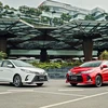 Toyota Motor Vietnam’s sales down 19 percent in October