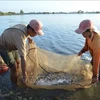 Results of flood-based livelihood project in Mekong Delta reviewed