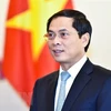 Minister: Vietnam’s re-election at ILC proves international community’s trust