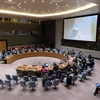 Vietnam urges countries in Sahel region to stay united against terrorism 